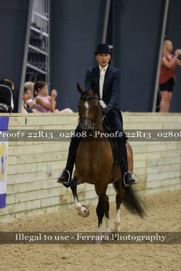 Proof 22R13_02808