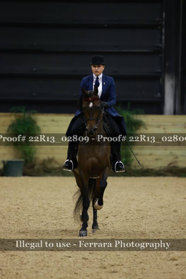Proof 22R13_02809