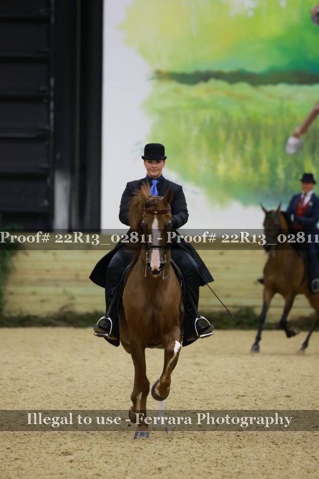 Proof 22R13_02811