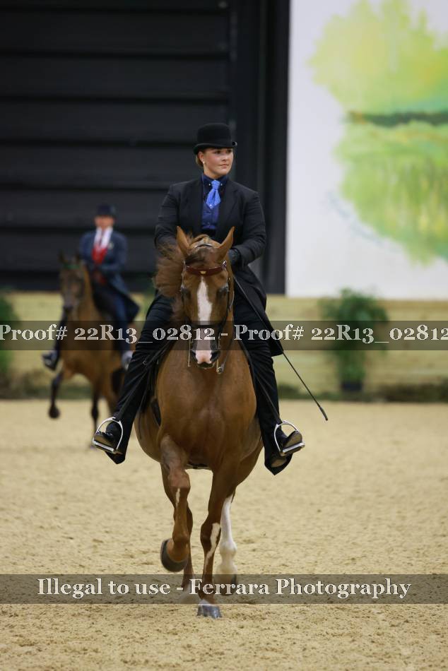Proof 22R13_02812