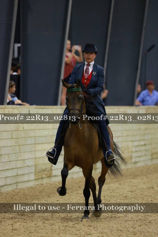 Proof 22R13_02813