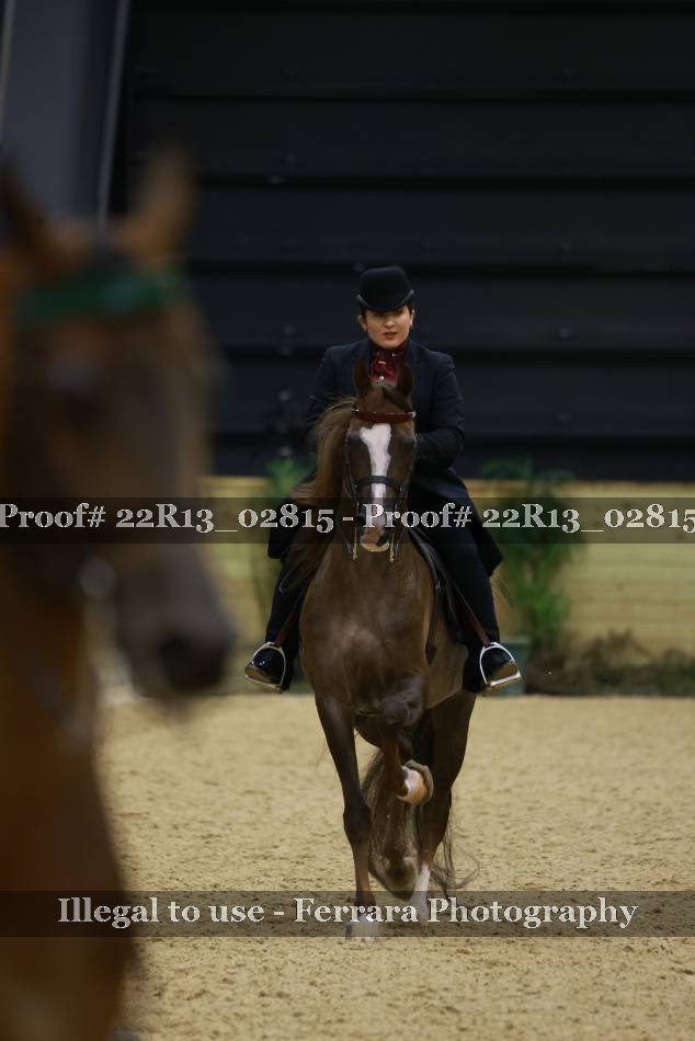 Proof 22R13_02815