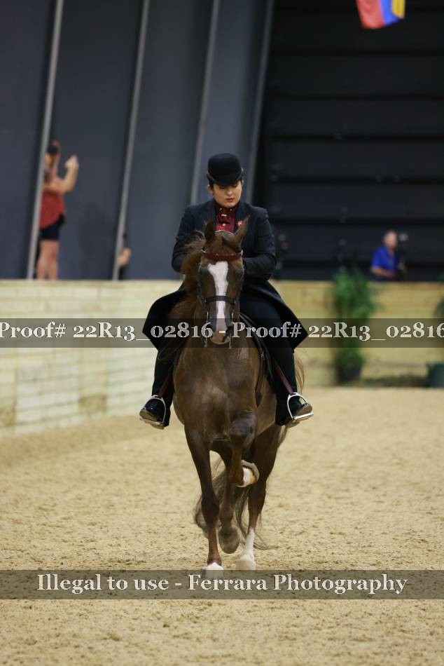 Proof 22R13_02816