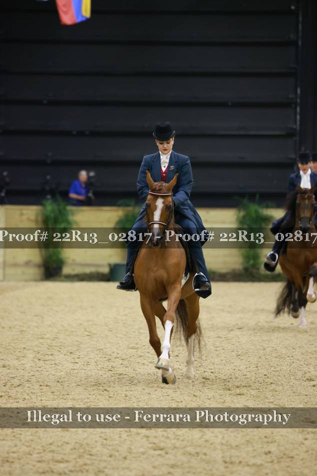 Proof 22R13_02817
