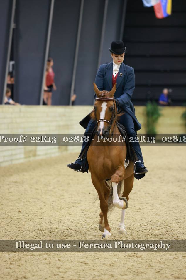 Proof 22R13_02818
