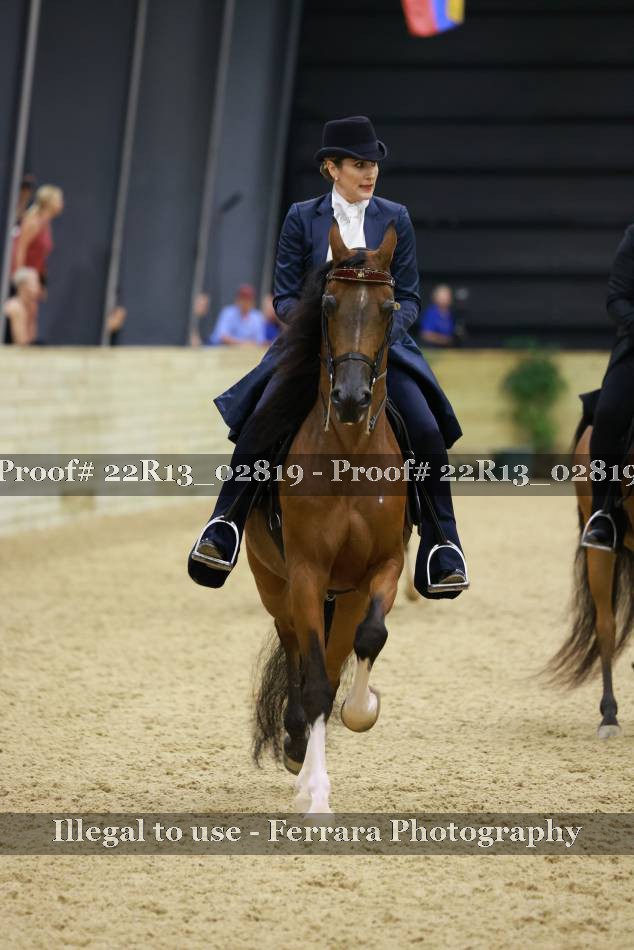 Proof 22R13_02819