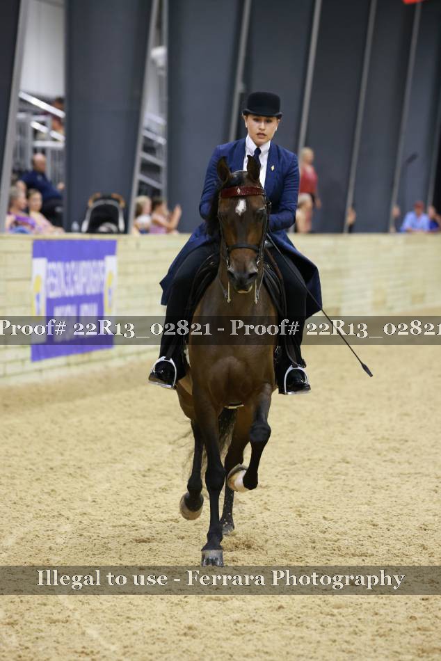 Proof 22R13_02821