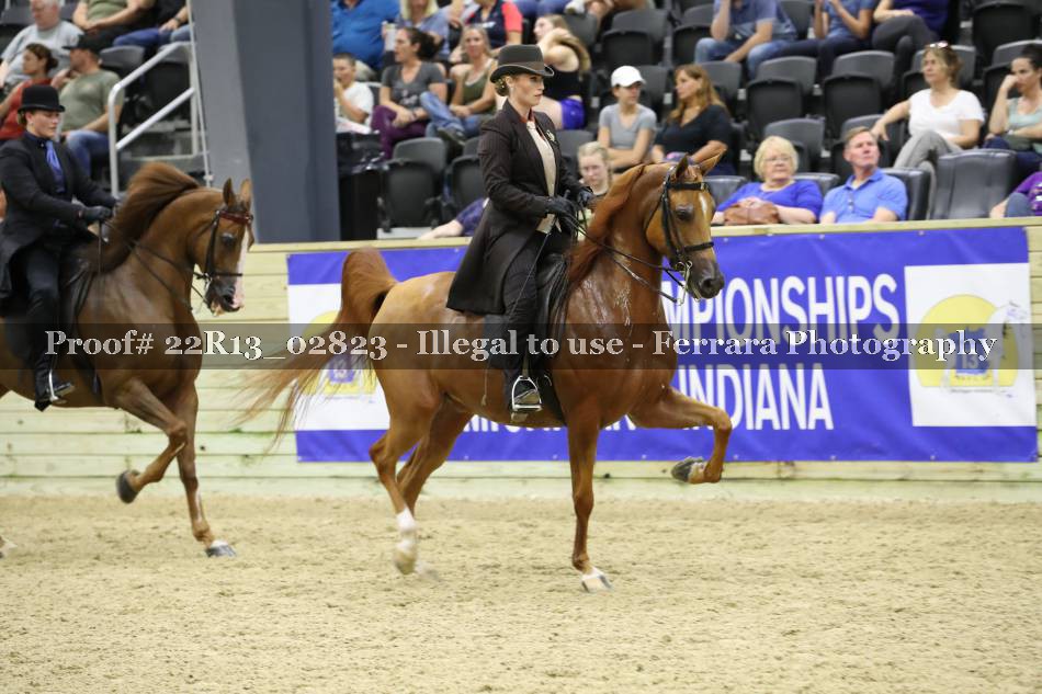 Proof 22R13_02823
