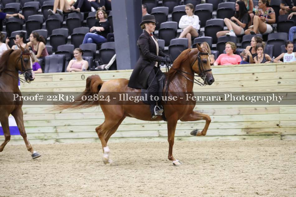 Proof 22R13_02824