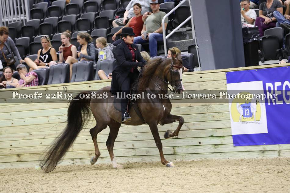 Proof 22R13_02828