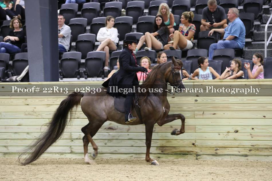 Proof 22R13_02830