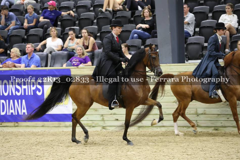 Proof 22R13_02833