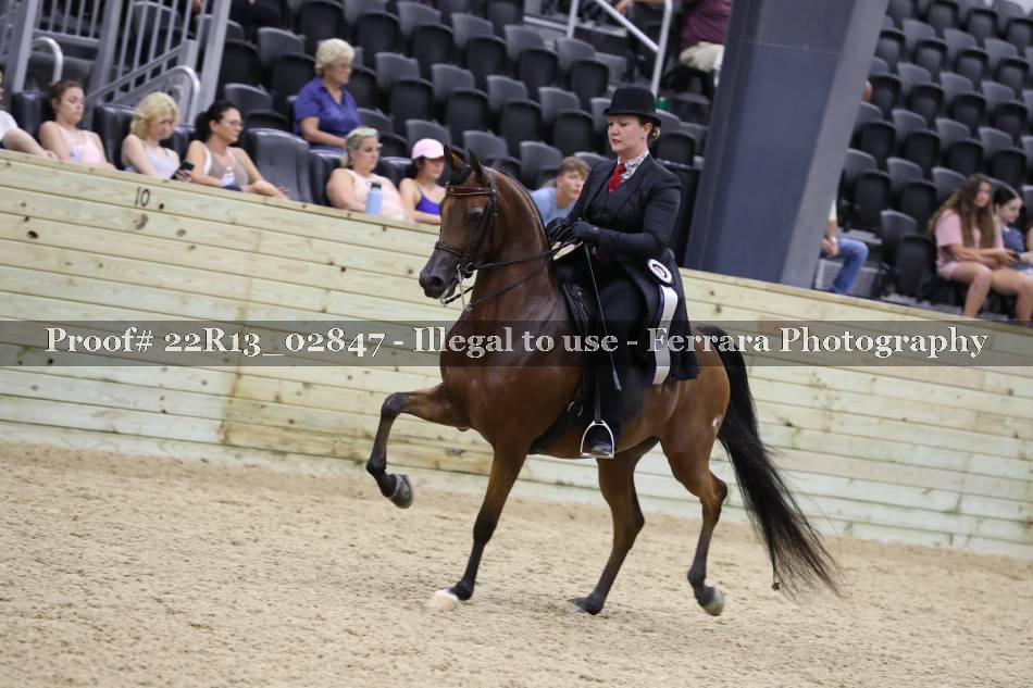 Proof 22R13_02847