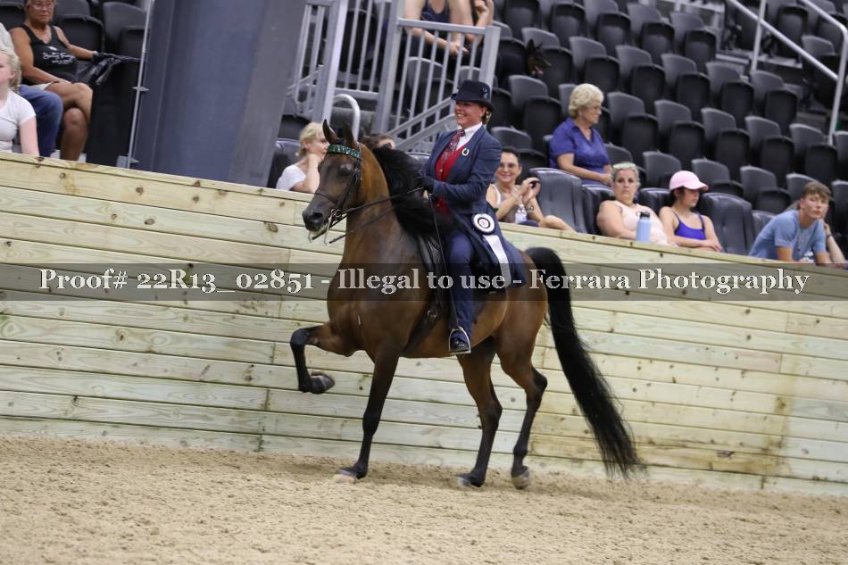 Proof 22R13_02851