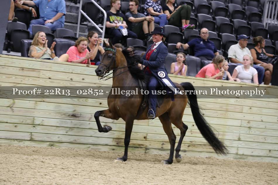Proof 22R13_02852