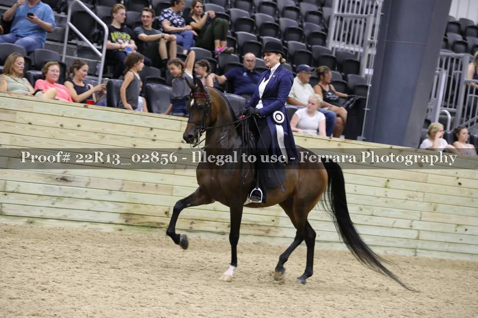 Proof 22R13_02856