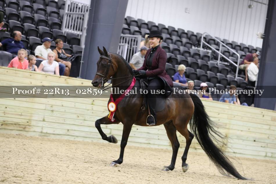 Proof 22R13_02859