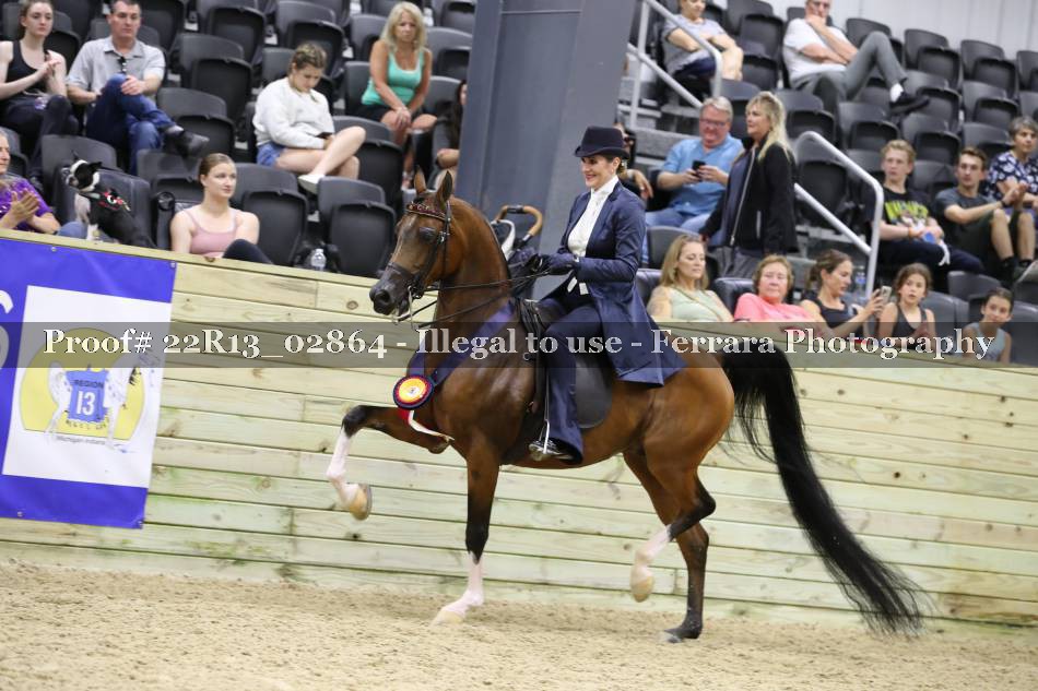 Proof 22R13_02864