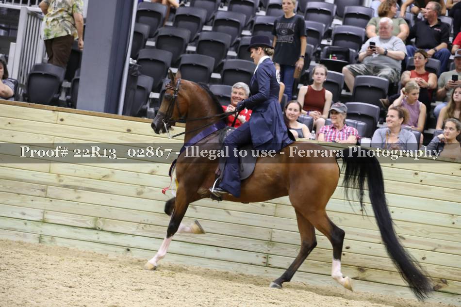 Proof 22R13_02867