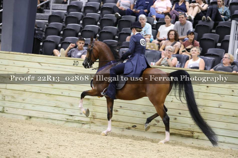 Proof 22R13_02868