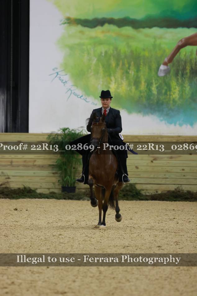 Proof 22R13_02869