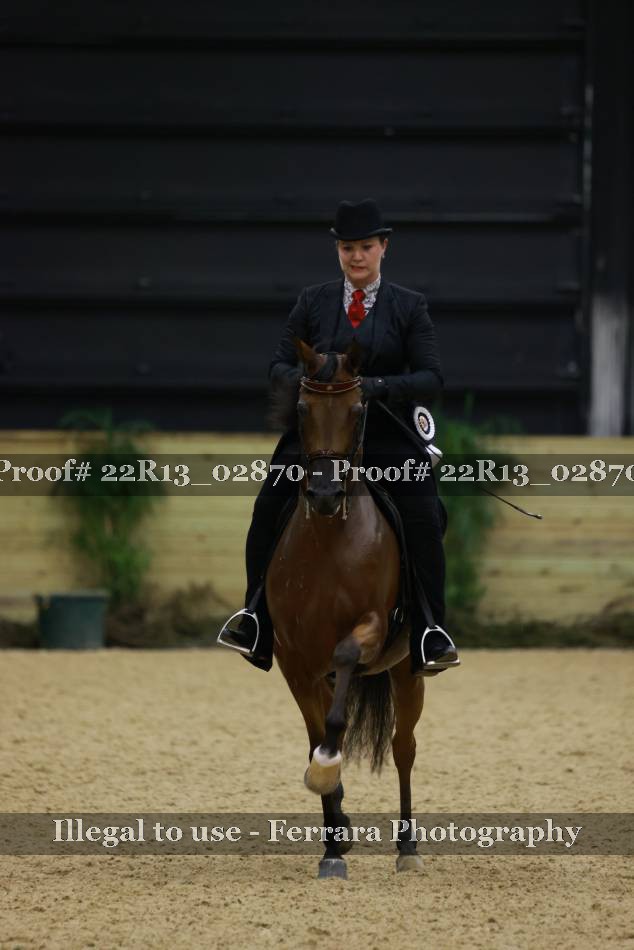 Proof 22R13_02870