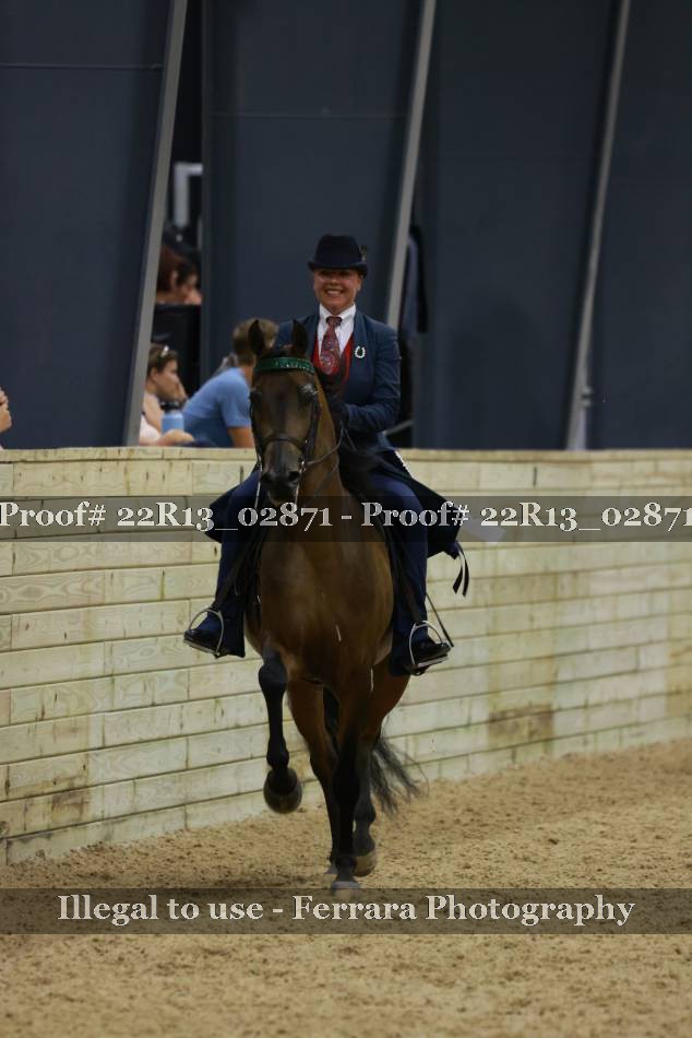Proof 22R13_02871