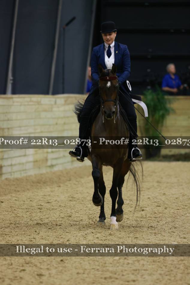 Proof 22R13_02873