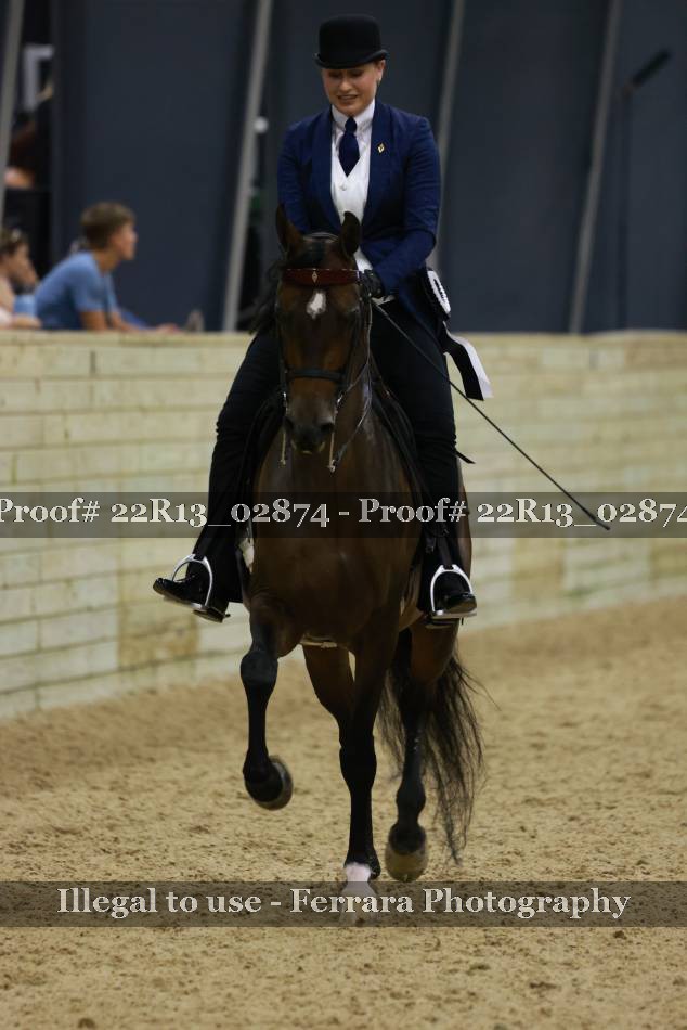 Proof 22R13_02874