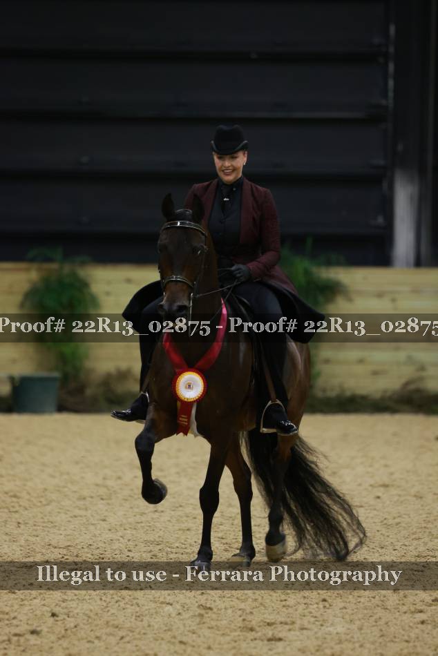 Proof 22R13_02875