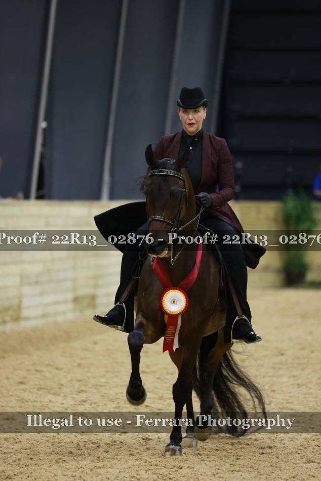 Proof 22R13_02876