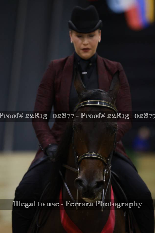 Proof 22R13_02877
