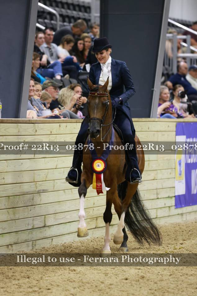 Proof 22R13_02878
