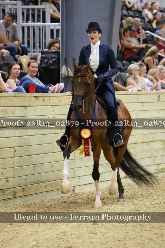 Proof 22R13_02879
