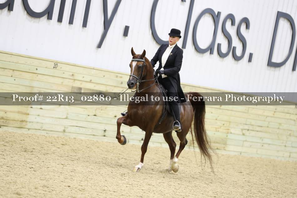 Proof 22R13_02880