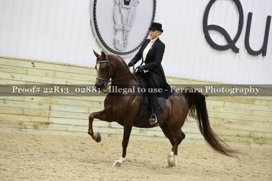 Proof 22R13_02881