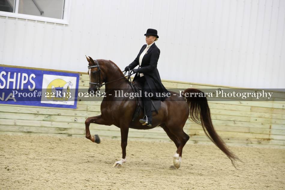 Proof 22R13_02882