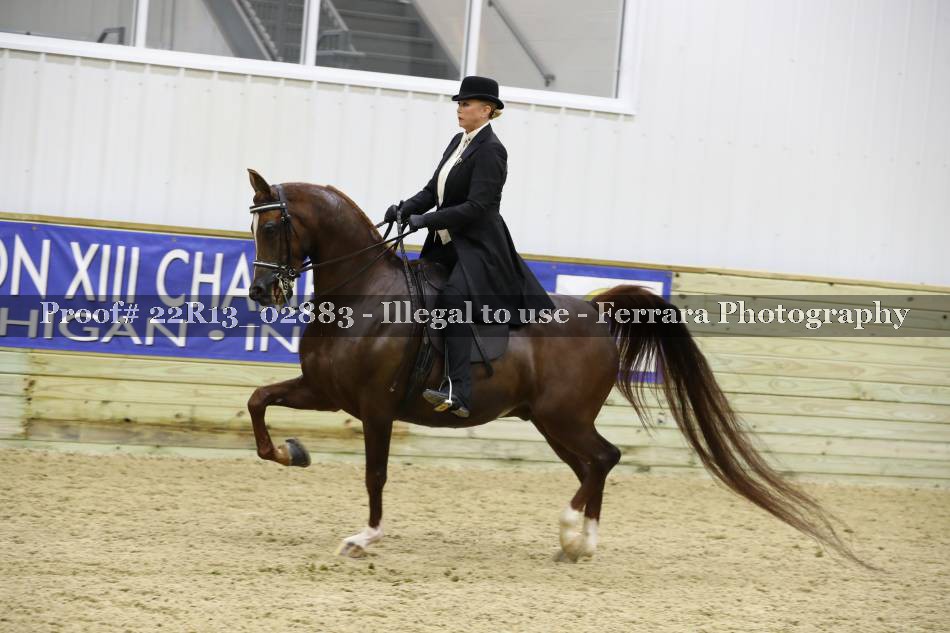 Proof 22R13_02883