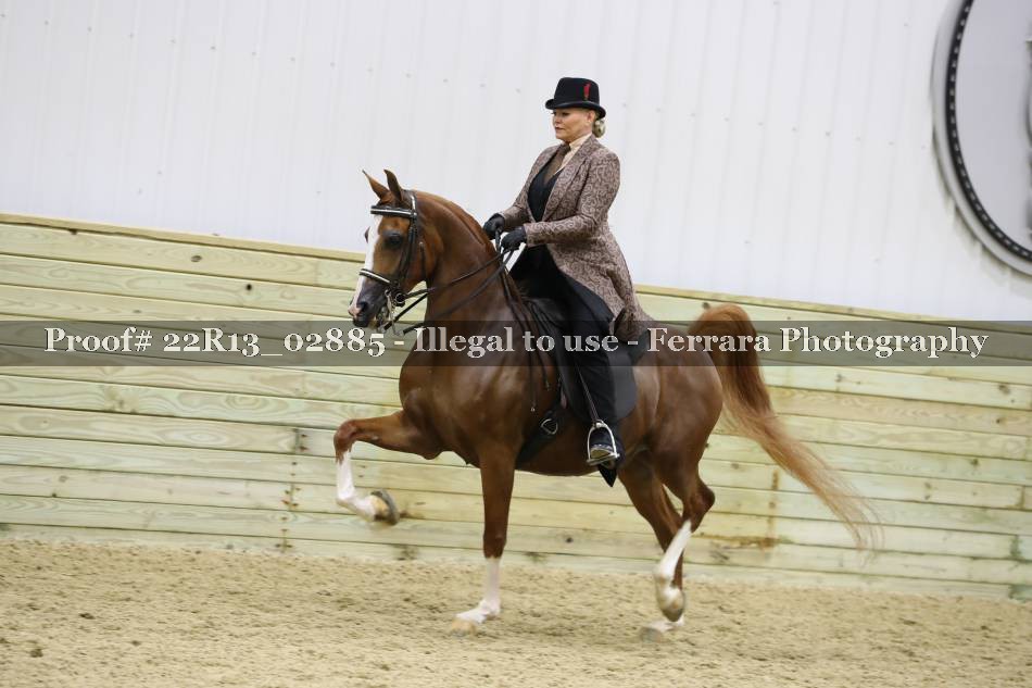 Proof 22R13_02885