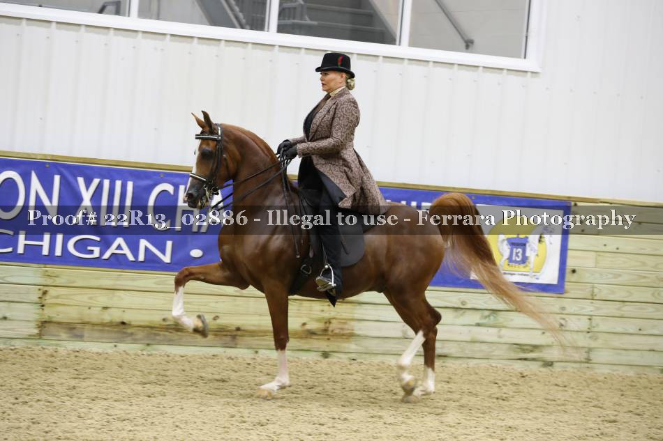 Proof 22R13_02886