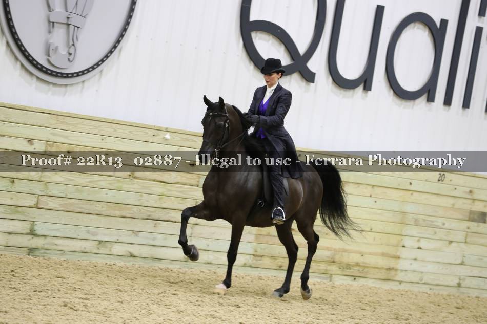 Proof 22R13_02887