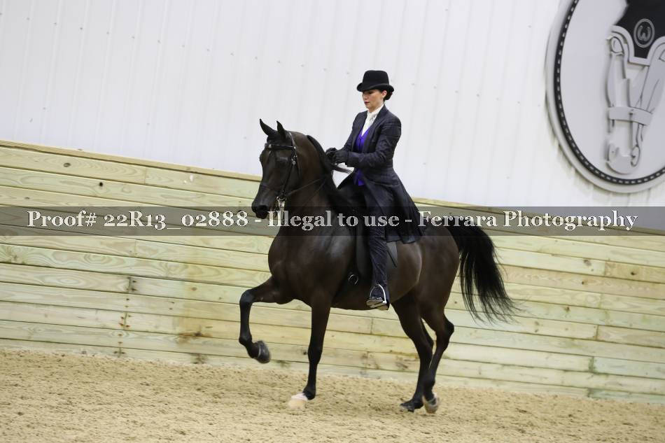 Proof 22R13_02888