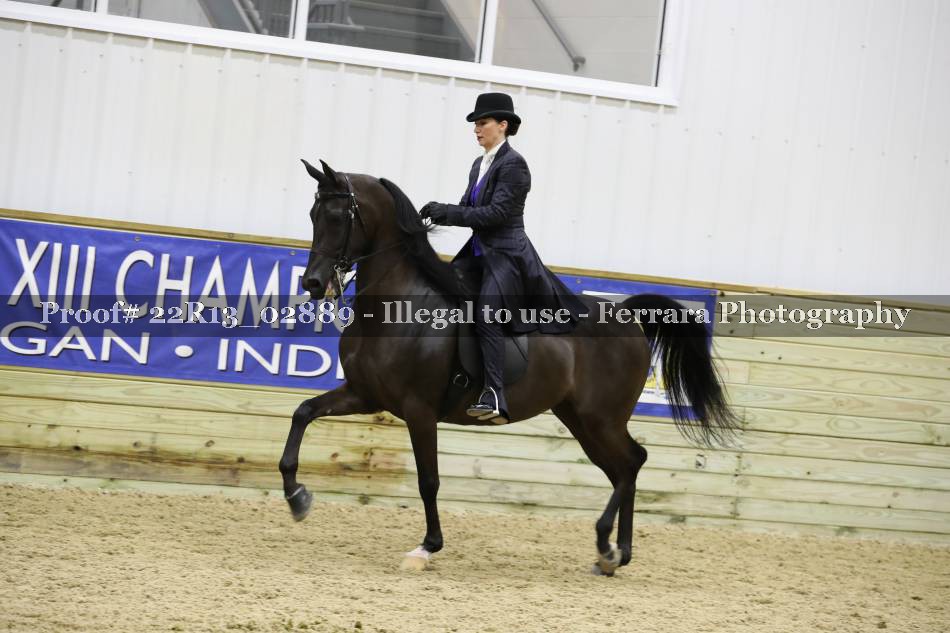 Proof 22R13_02889