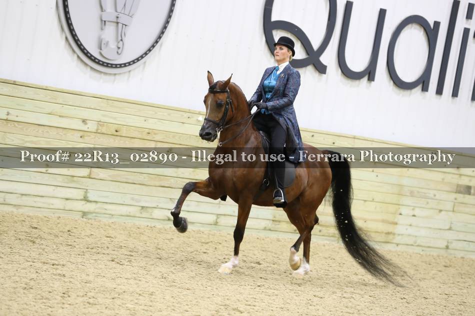 Proof 22R13_02890