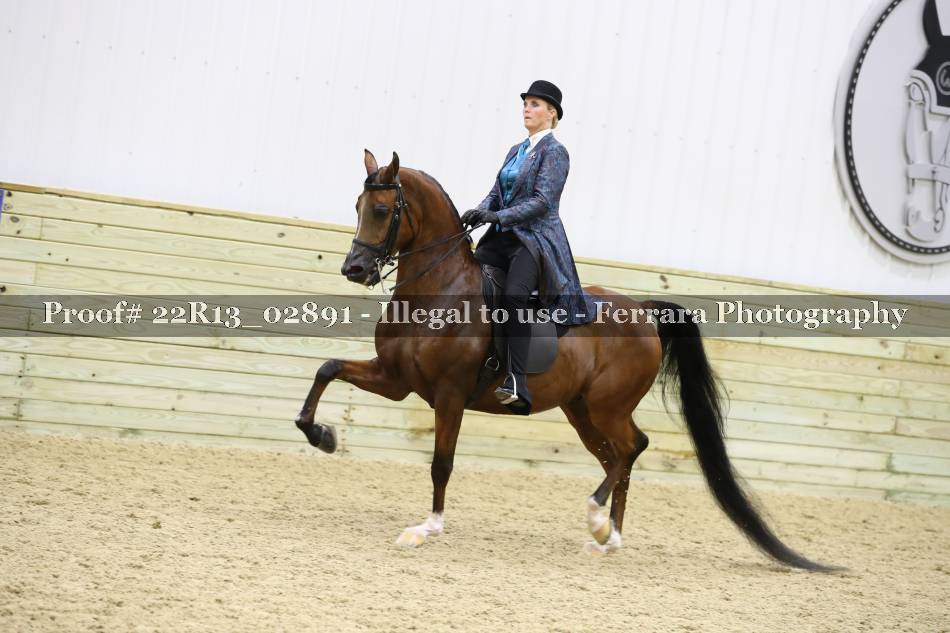 Proof 22R13_02891