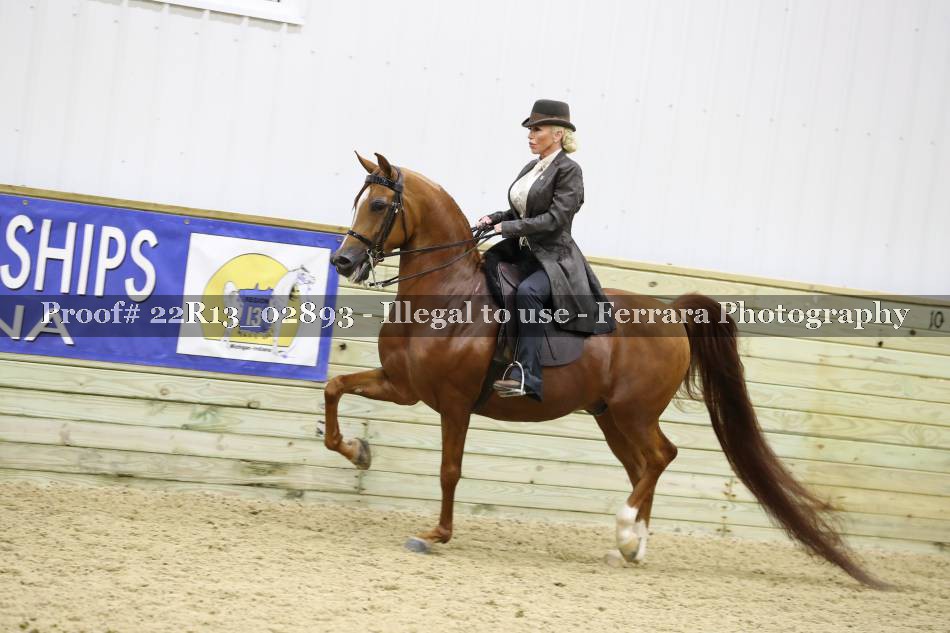 Proof 22R13_02893