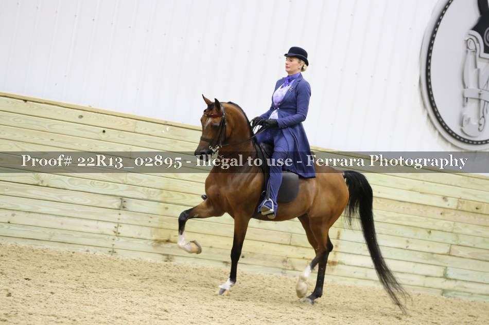 Proof 22R13_02895