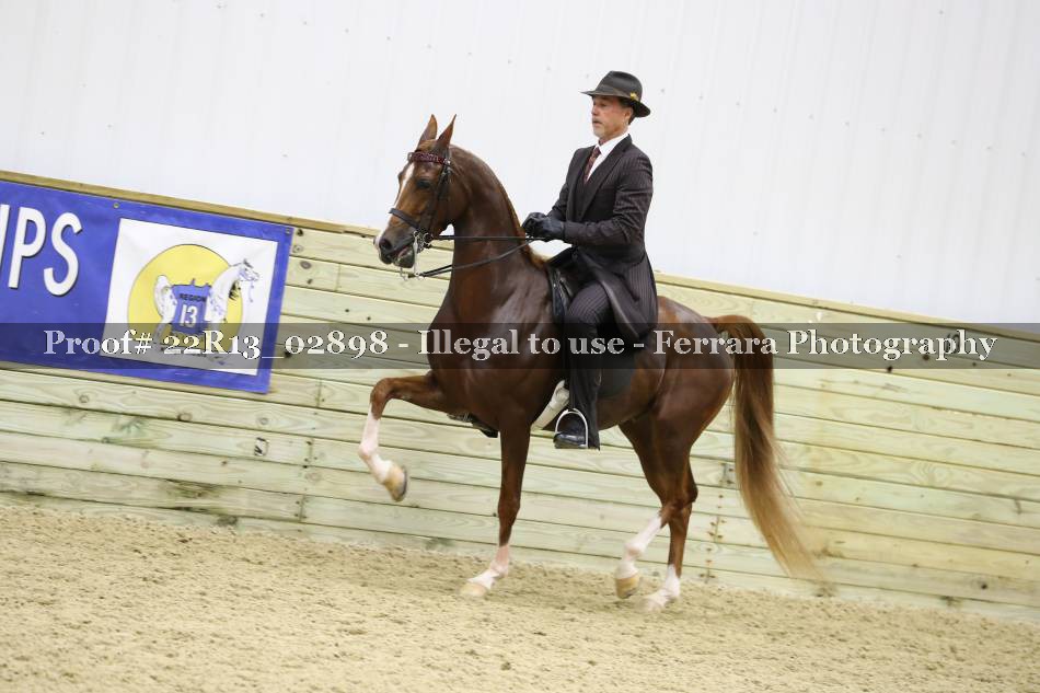 Proof 22R13_02898