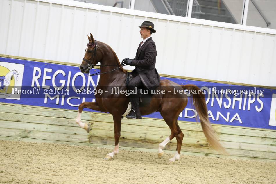 Proof 22R13_02899