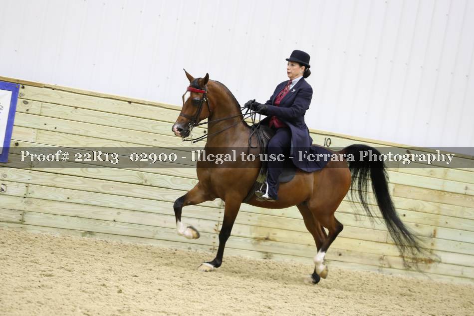 Proof 22R13_02900